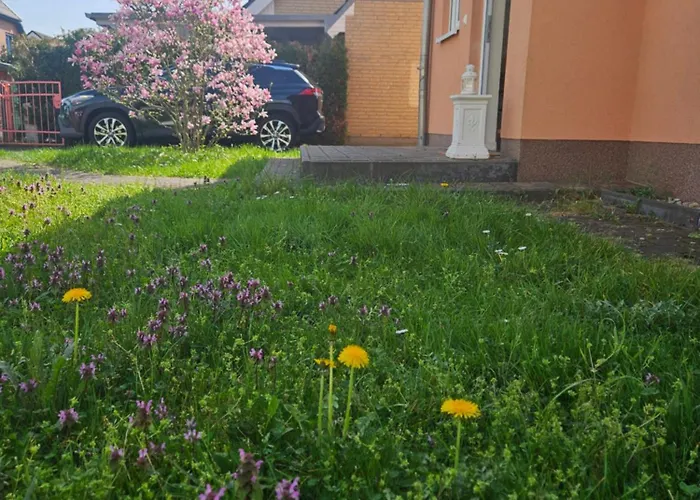 Cozy House And Free Parking